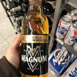 Meet your Posher, Roy