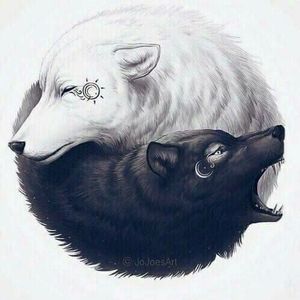 Meet your Posher, Ray