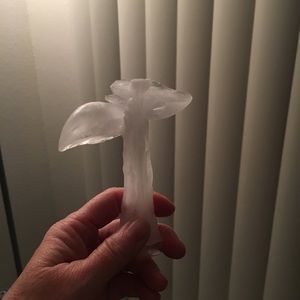 Meet your Posher, Carol