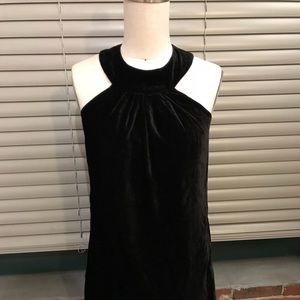 Blk Velvet Dress w/ Ruffle by INC Int’l Concepts