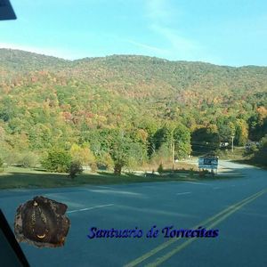 Meet your Posher, Guillermo