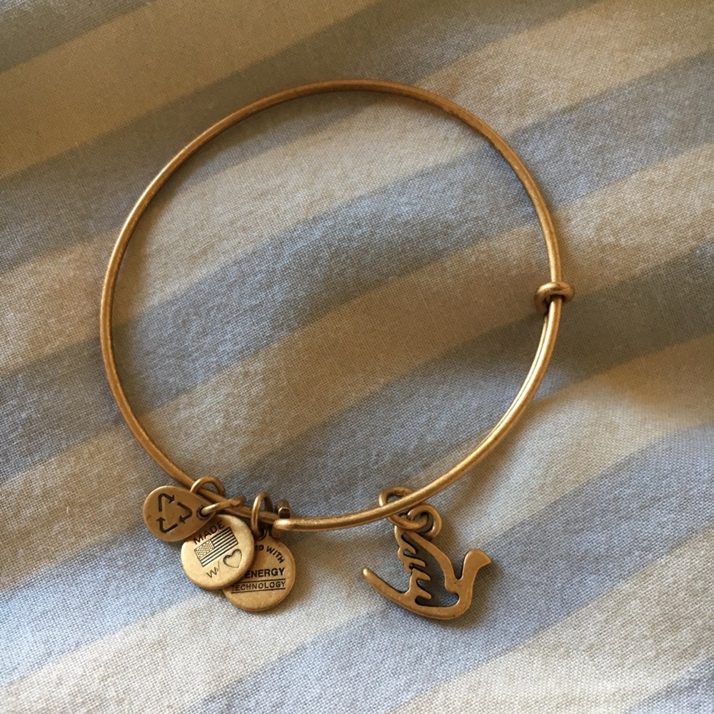 Alex And Ani Dove Charm Bracelet