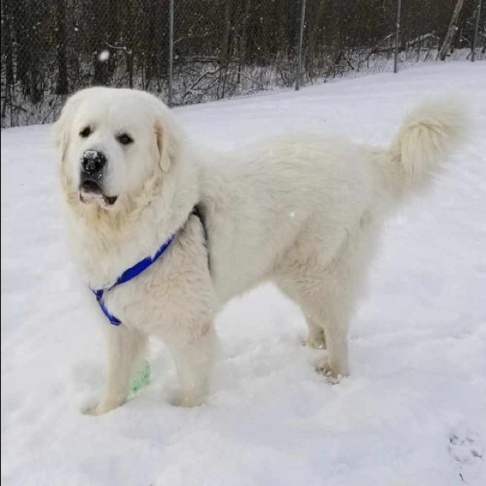 Meet your Posher, Tina