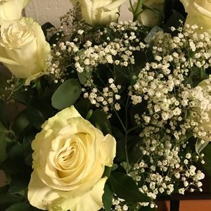 Meet your Posher, Gianna