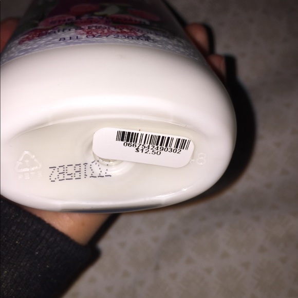 Winterberry Wonder - Picture 2 of 2