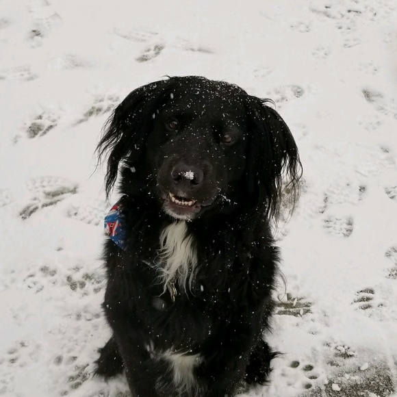 Meet your Posher, Mike - Picture 1 of 1