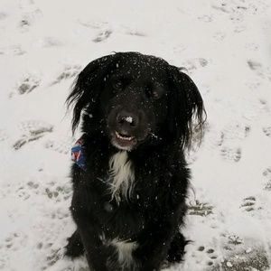 Meet your Posher, Mike