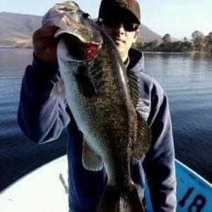 Meet your Posher, Shayan