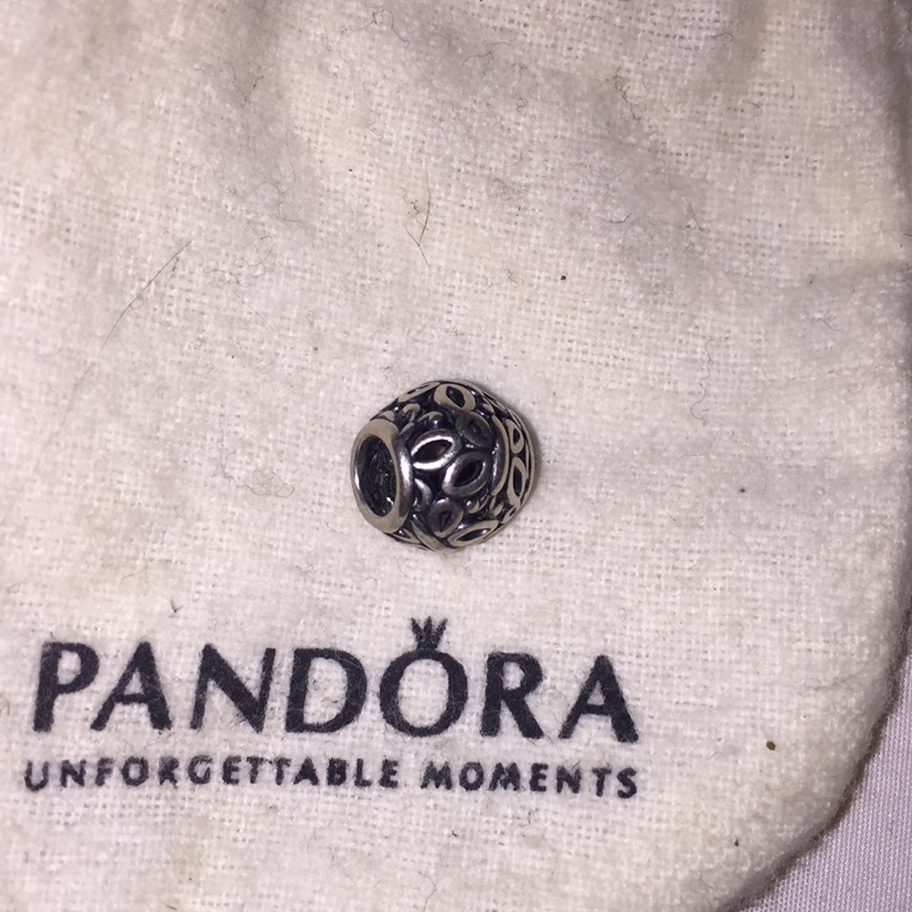 Butterfly pandora charm