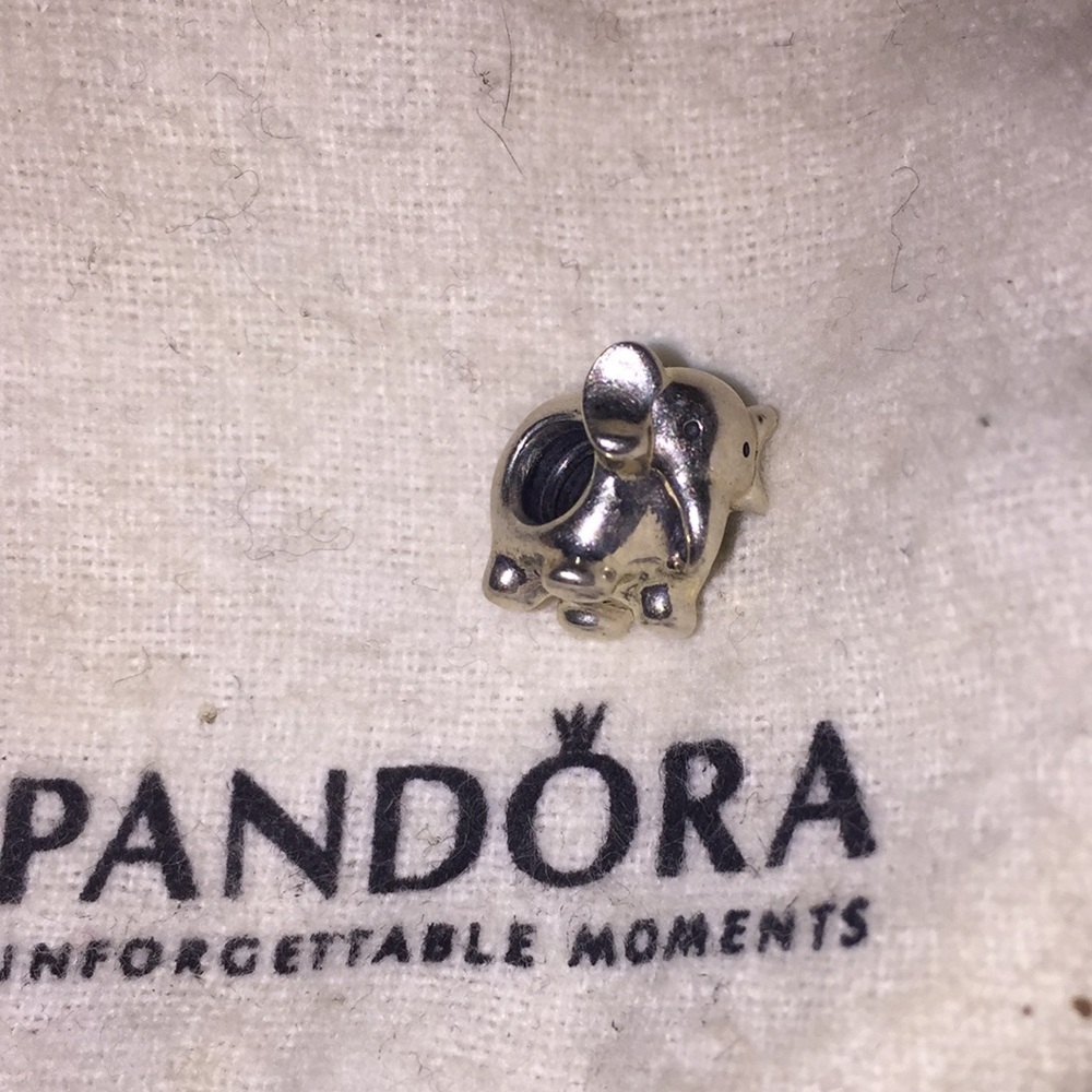 Elephant pandora charm