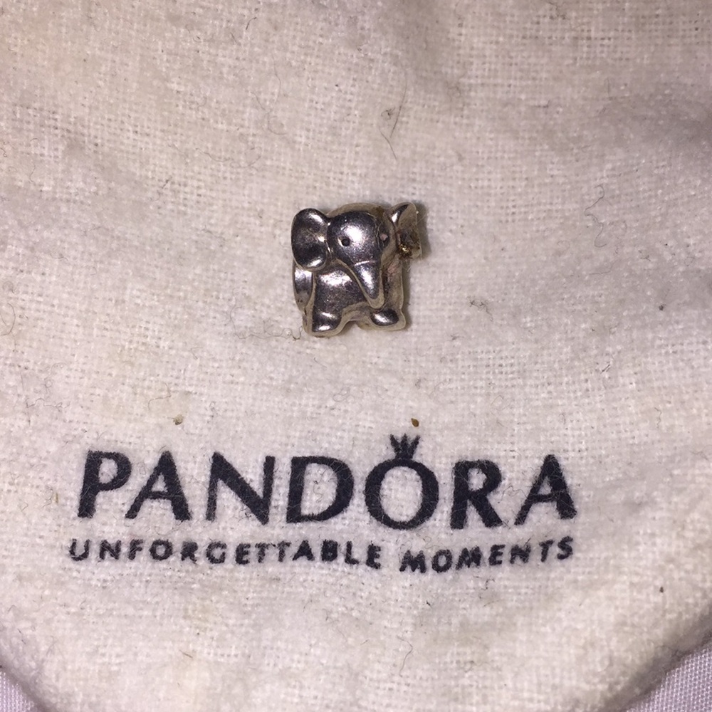 Elephant pandora charm #2