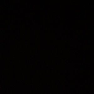 Meet your Posher, Sofia