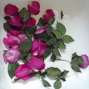 Meet your Posher, Janet