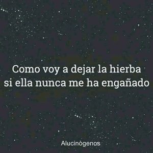 Meet your Posher, Salazar