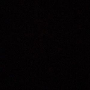 Meet your Posher, Ava