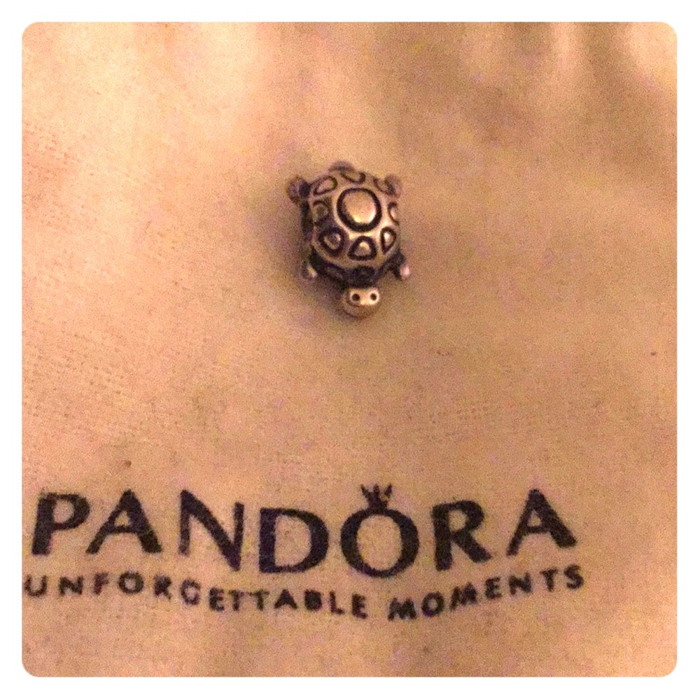 Turtle pandora charm