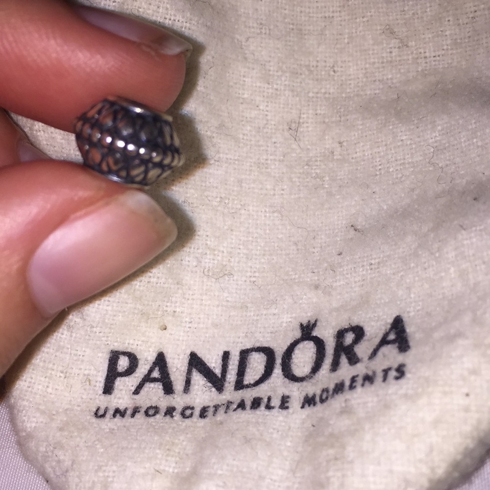 Pandora charm