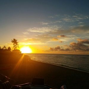 Meet your Posher, Kylee-marie