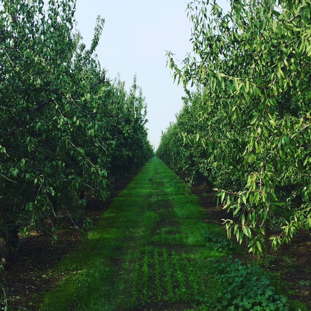 Meet your Posher, Monica