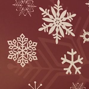 Meet your Posher, Jane