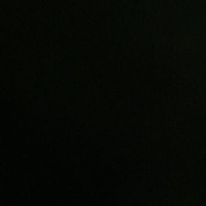 Meet your Posher, Shaun