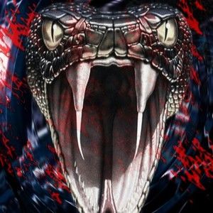 Meet your Posher, Ricky