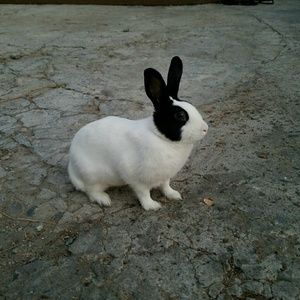 Meet your Posher, Itzel