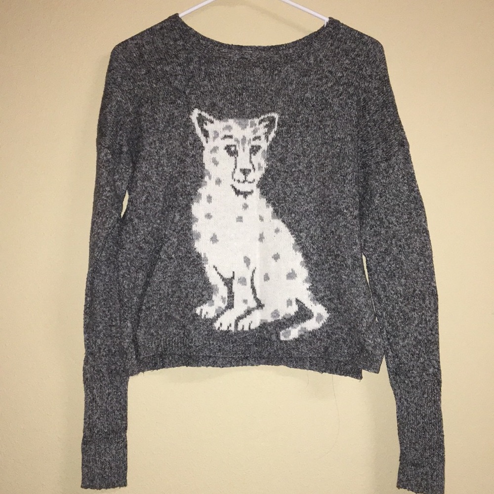 Hollister sweater with leopard on it