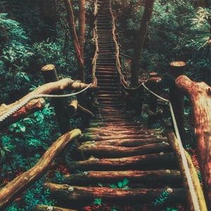 Meet your Posher, Eviey