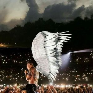 Meet your Posher, Birdie