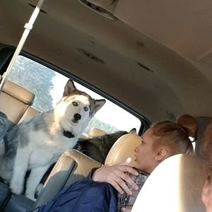 Meet your Posher, Kim