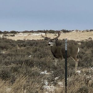 Meet your Posher, Forrest