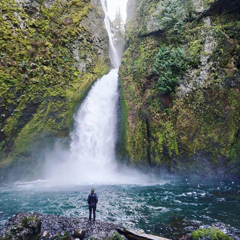 Meet your Posher, Misha