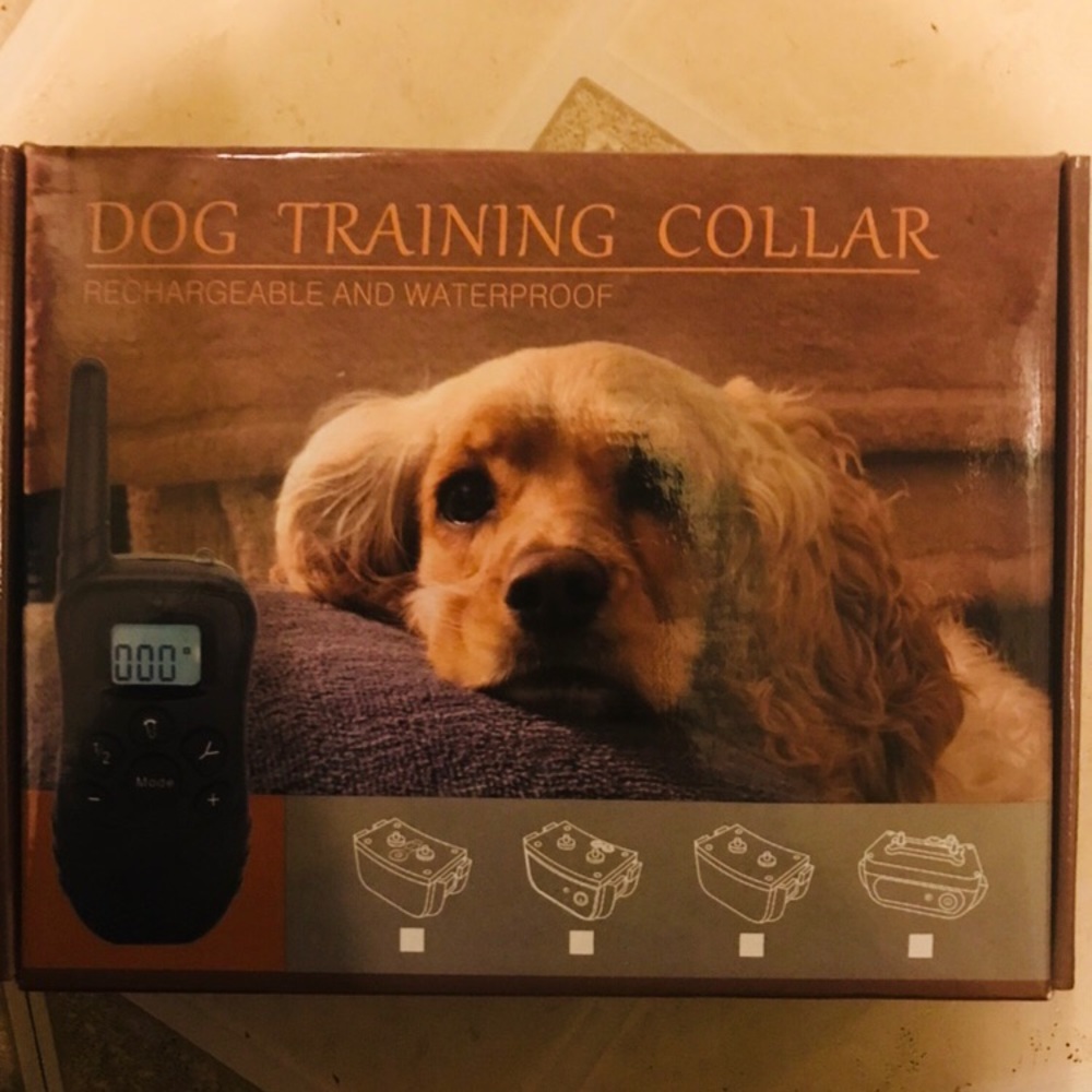 Dog shock collar