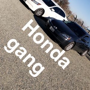 Meet your Posher, Armando