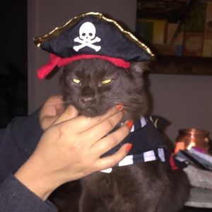 Meet your Posher, Chance