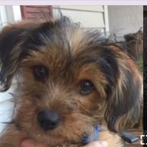 Meet your Posher, Ellyn