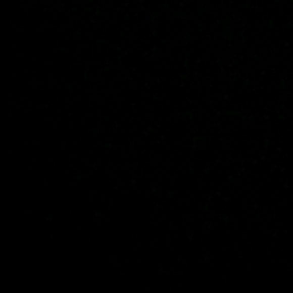 Meet your Posher, Shawn - Picture 1 of 1