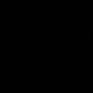 Meet your Posher, Shawn