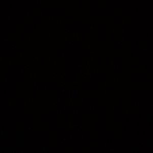 Meet your Posher, Dennise