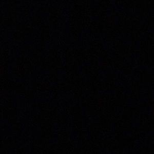 Meet your Posher, Daisy