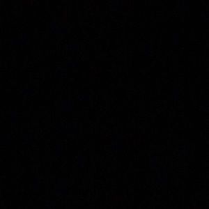 Meet your Posher, Alanis