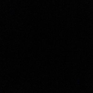 Meet your Posher, Randy