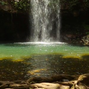 Meet your Posher, Bub