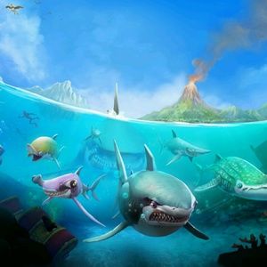 Meet your Posher, Alejandro