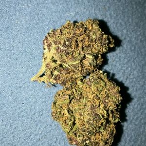 Meet your Posher, Kailen