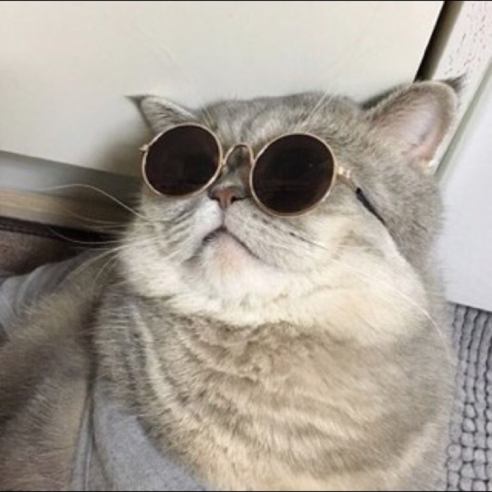 Meet your Posher, Cin