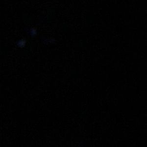 Meet your Posher, Nyla