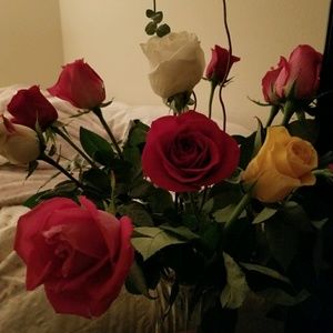 Meet your Posher, Bernadette