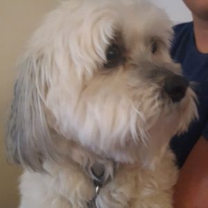 Meet your Posher, Deb